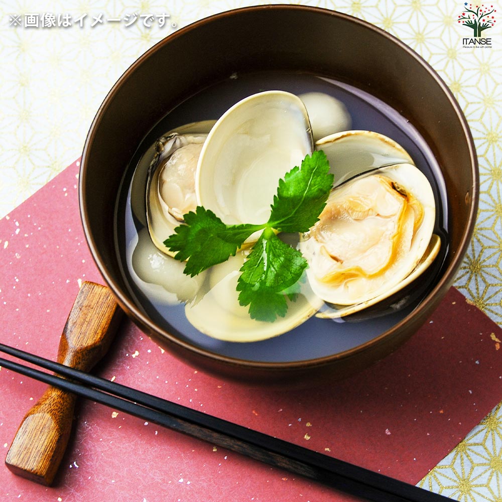 栽培セット 三つ葉 染付小紋 薬味小鉢【野菜の苗／1個売り】