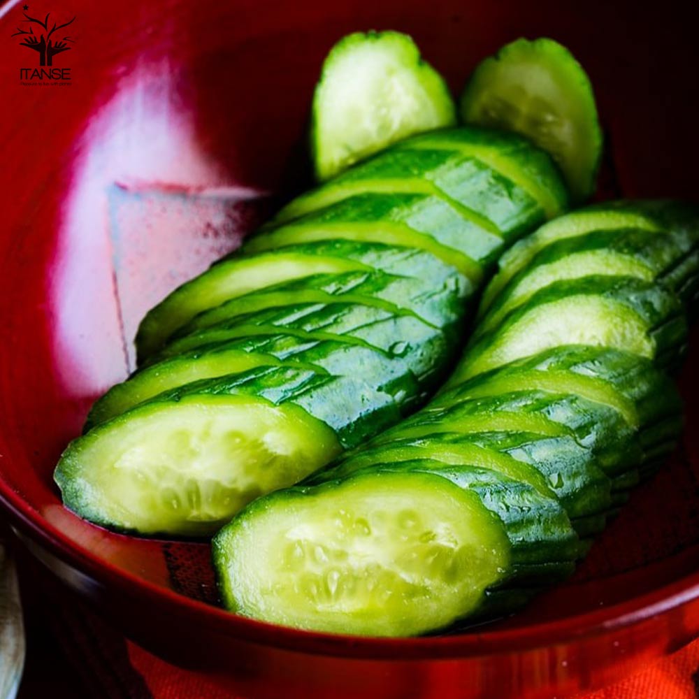 きゅうりの苗 シャキットきゅうり2個～【野菜の苗 10.5cmポット 自根苗】