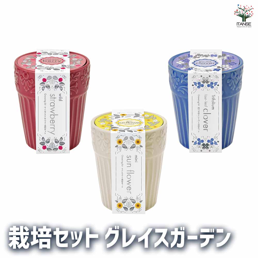 栽培セット グレイスガーデン｜ 【植物のITANSE】全品送料無料