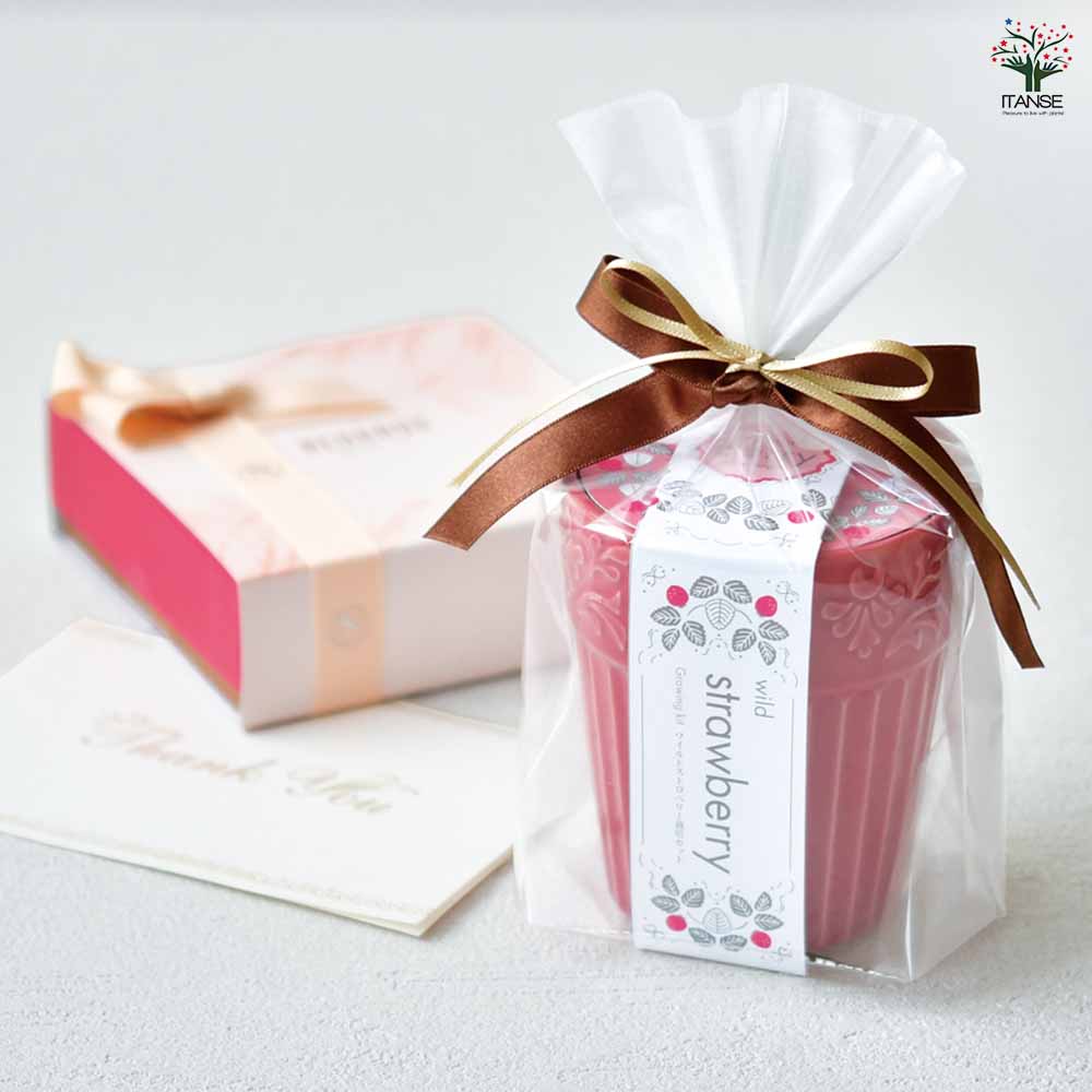 栽培セット グレイスガーデン｜ 【植物のITANSE】全品送料無料