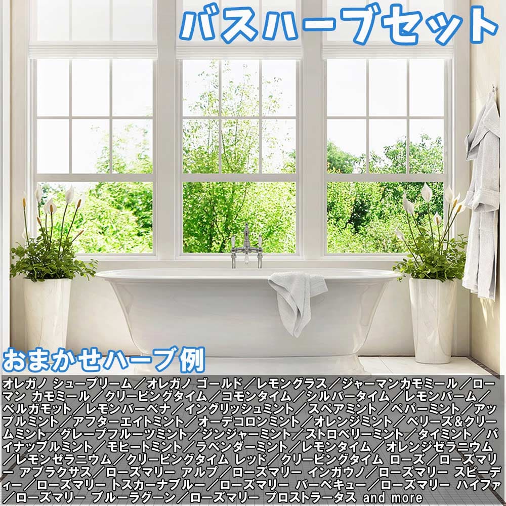 人気のハーブ苗 おまかせハーブ 3個セット＋資材セット【おうちで簡単！育てやすい10.5cmポットハーブ苗シリーズ！】