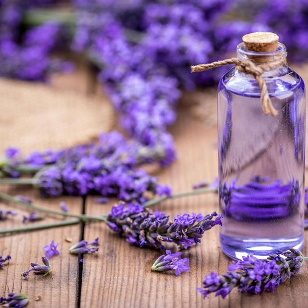 人気のハーブ苗 おまかせハーブ 3個セット＋資材セット【おうちで簡単！育てやすい10.5cmポットハーブ苗シリーズ！】