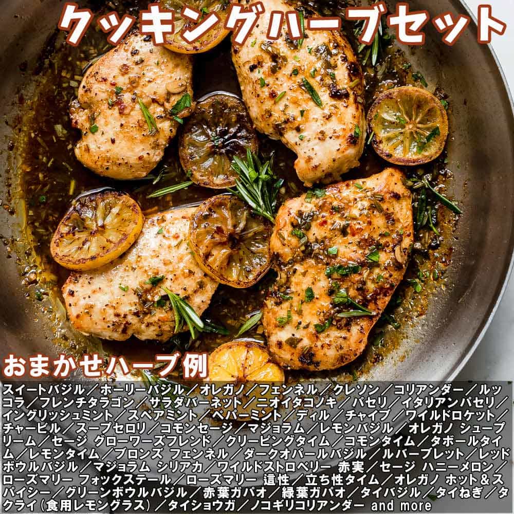 人気のハーブ苗 おまかせハーブ 3個セット＋資材セット【おうちで簡単！育てやすい10.5cmポットハーブ苗シリーズ！】