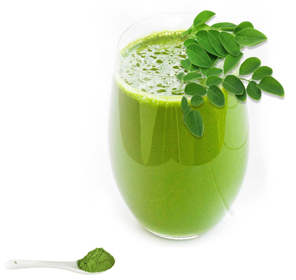 「モリンガの苗木(ワサビノキ) 9cmポット苗」北インドやフィリピンで多く栽培される奇跡の木、モリンガ。原産地では1年で数メートルになる驚異の成長力を持っています。約90種の栄養素を持つ植物として食用に栽培されています。