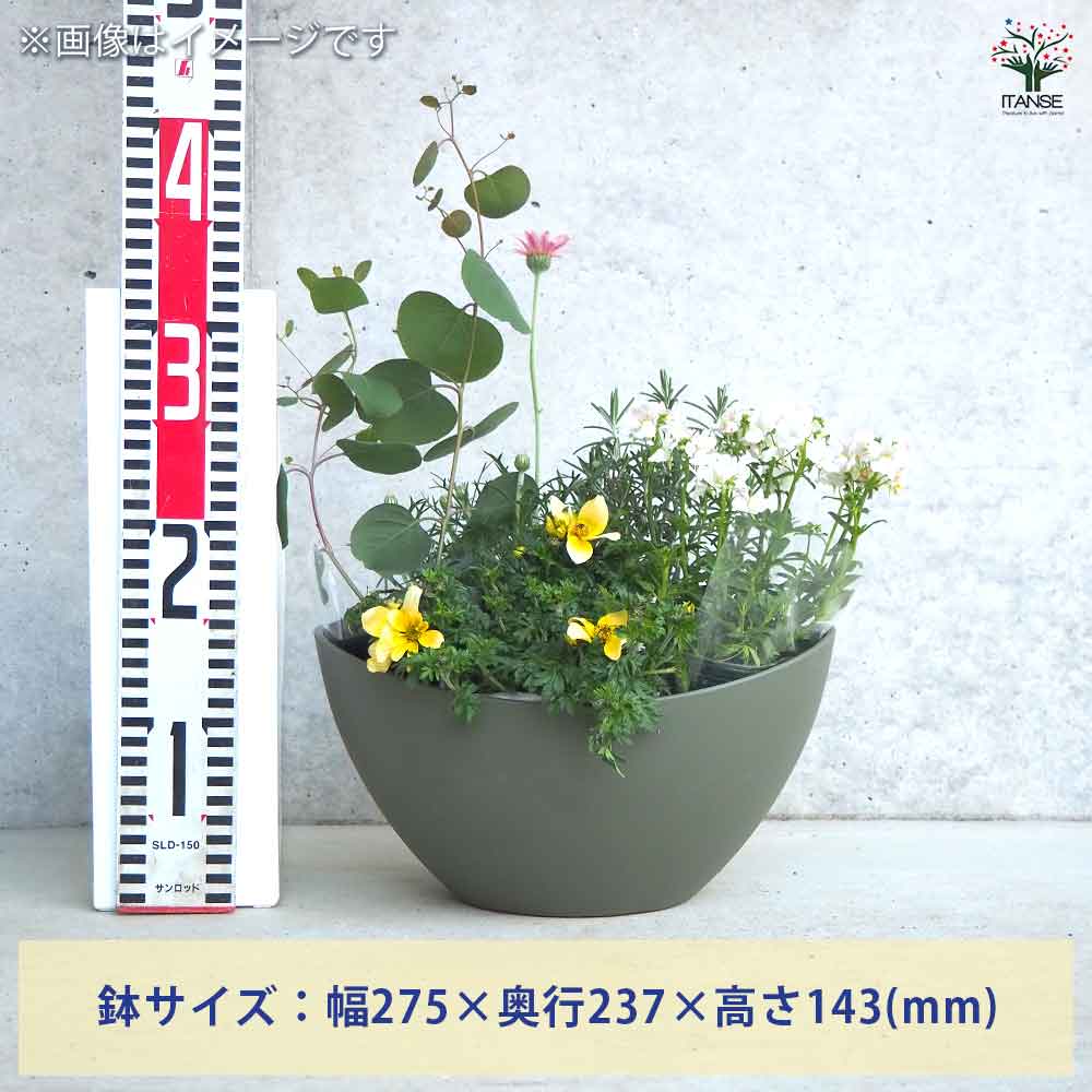 ギャザリン ボウル グリーン 【資材 Sサイズ 季節の花苗＆カラーリーフ寄せ植え風 投げ込みBセット】