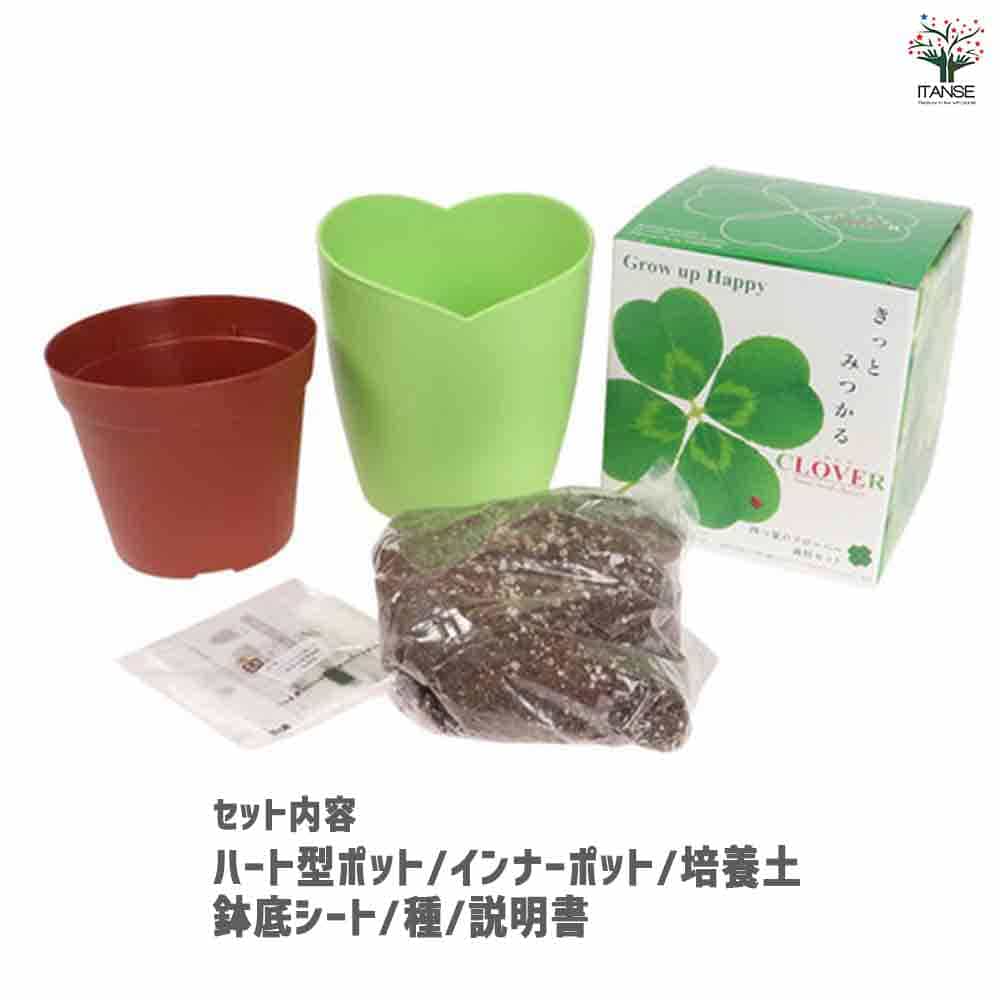 栽培セット きっとみつかる四つ葉のクローバー 【1個売り】｜ 【植物の