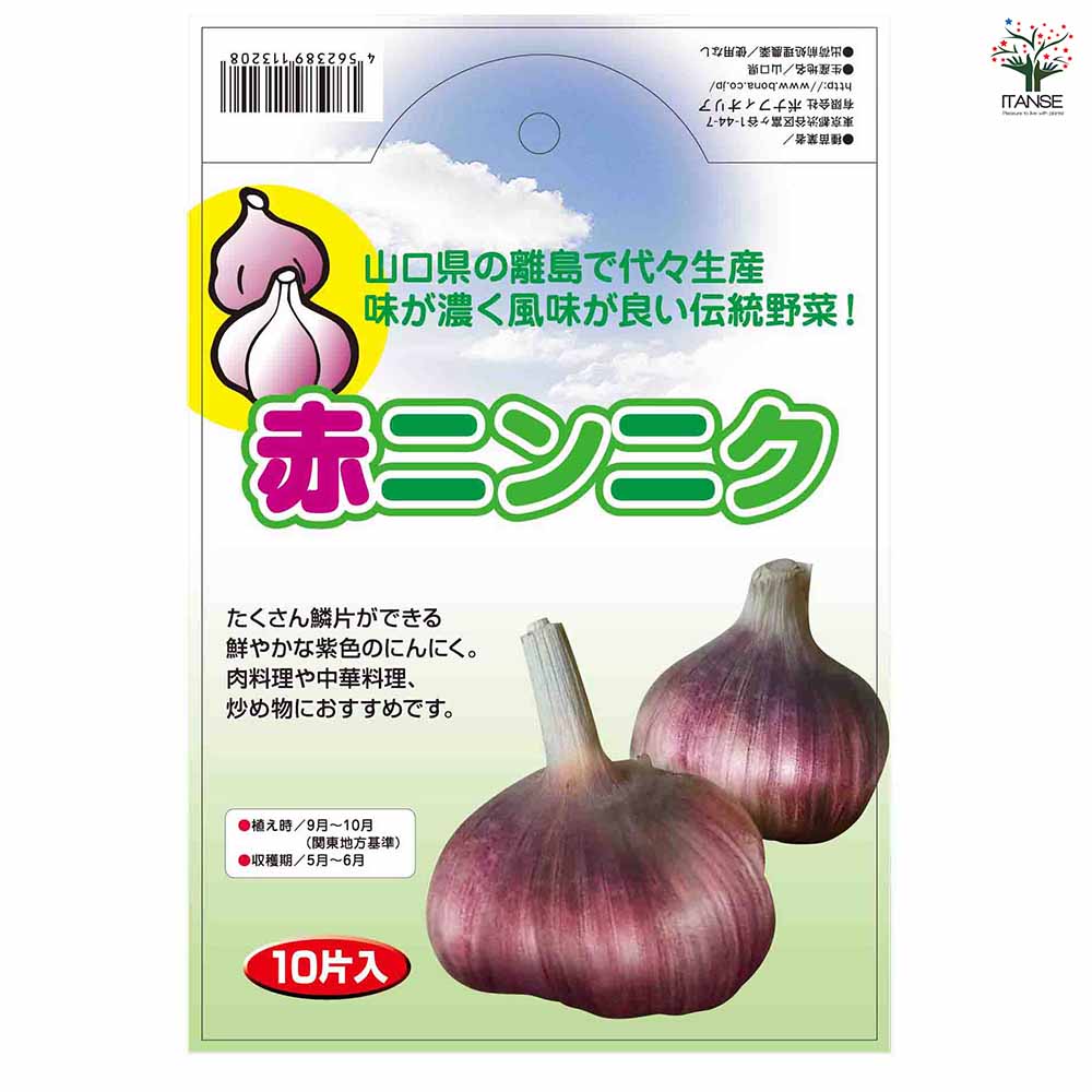 赤ニンニク 【野菜球根 10片／1個売り】