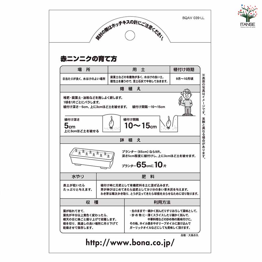 赤ニンニク 【野菜球根 10片／1個売り】