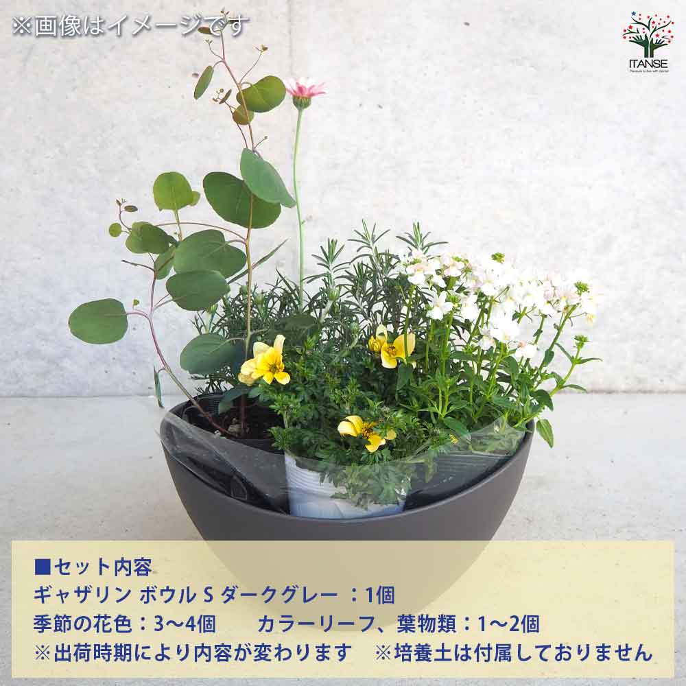 ギャザリン ボウル ダークグレー 【資材 Sサイズ 季節の花苗＆カラーリーフ寄せ植え風 投げ込みBセット】