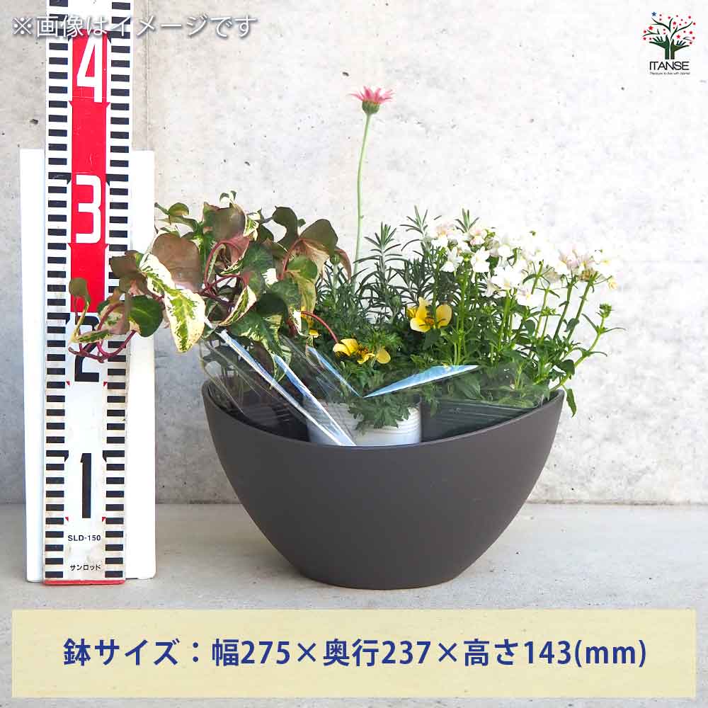 ギャザリン ボウル ダークグレー 【資材 Sサイズ 季節の花苗＆カラーリーフ寄せ植え風 投げ込みBセット】