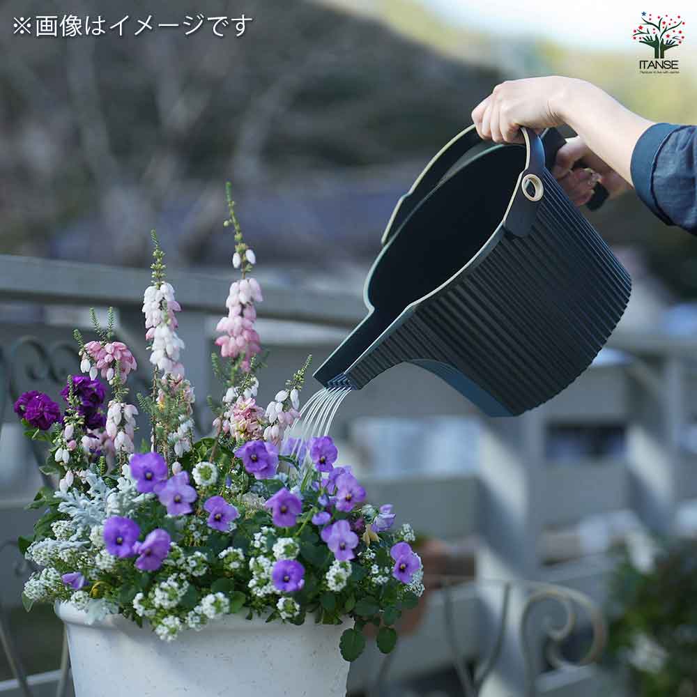 ジョウロ ガーデンビートル 【水やりグッズ】