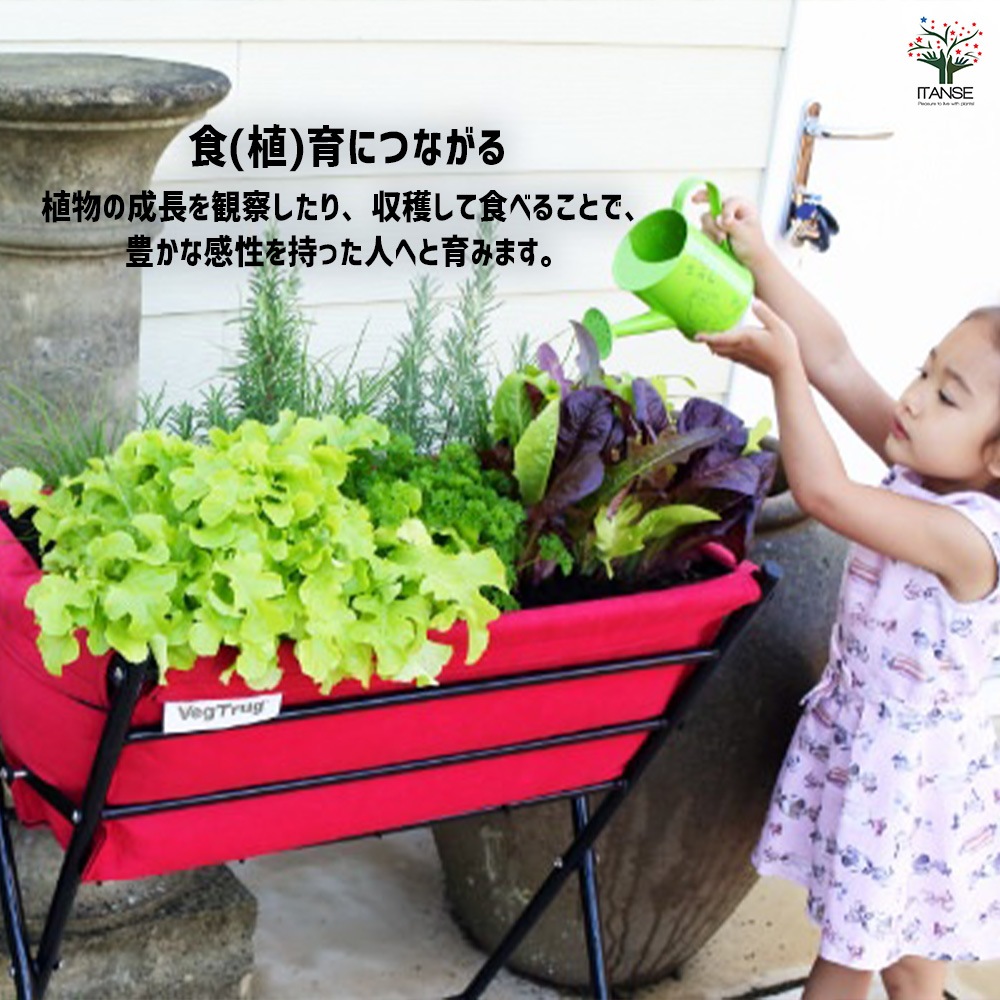 タカショー　ベジトラグ ポピーGO ２個セット タカショー 鉢 プランター ベジトラグ 菜園 スタンド タカショー