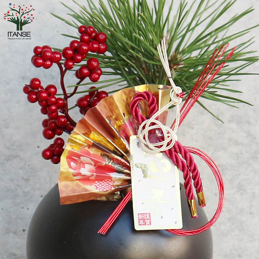 曲がり松・輝き／「迎春」の飾り付き 【正月飾り Lサイズ黒鉢／1個売り】