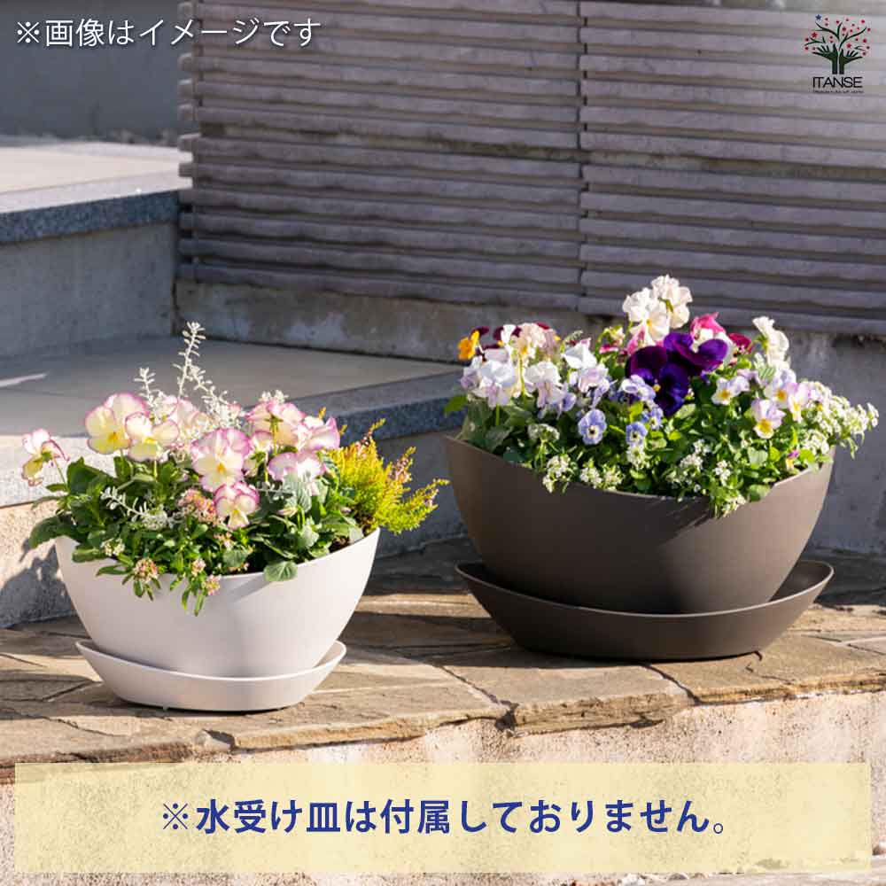 ギャザリン ボウル ホワイト 【資材 Sサイズ 季節の花苗＆カラーリーフ寄せ植え風 投げ込みCセット】