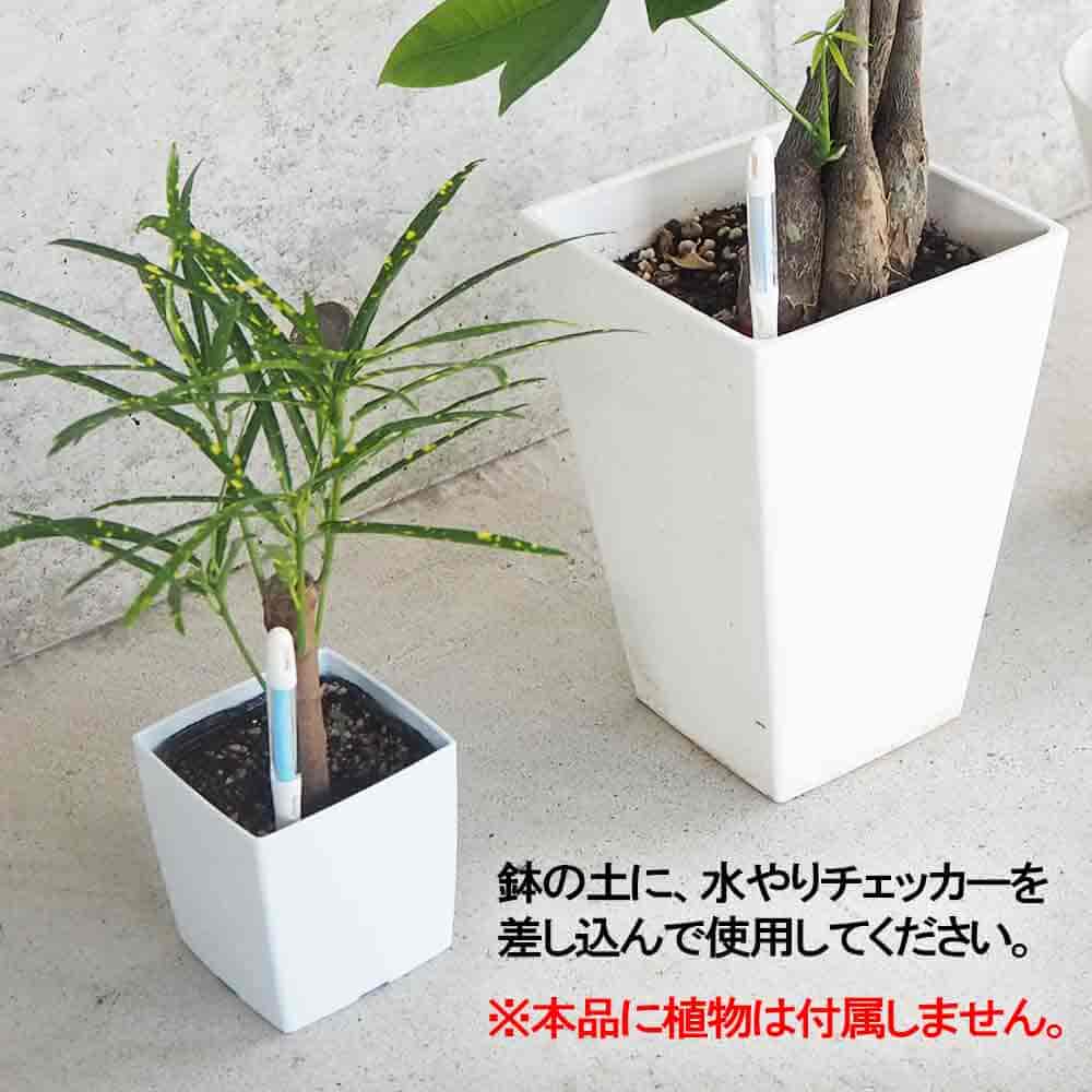 水やりチェッカー【水やりグッズ】