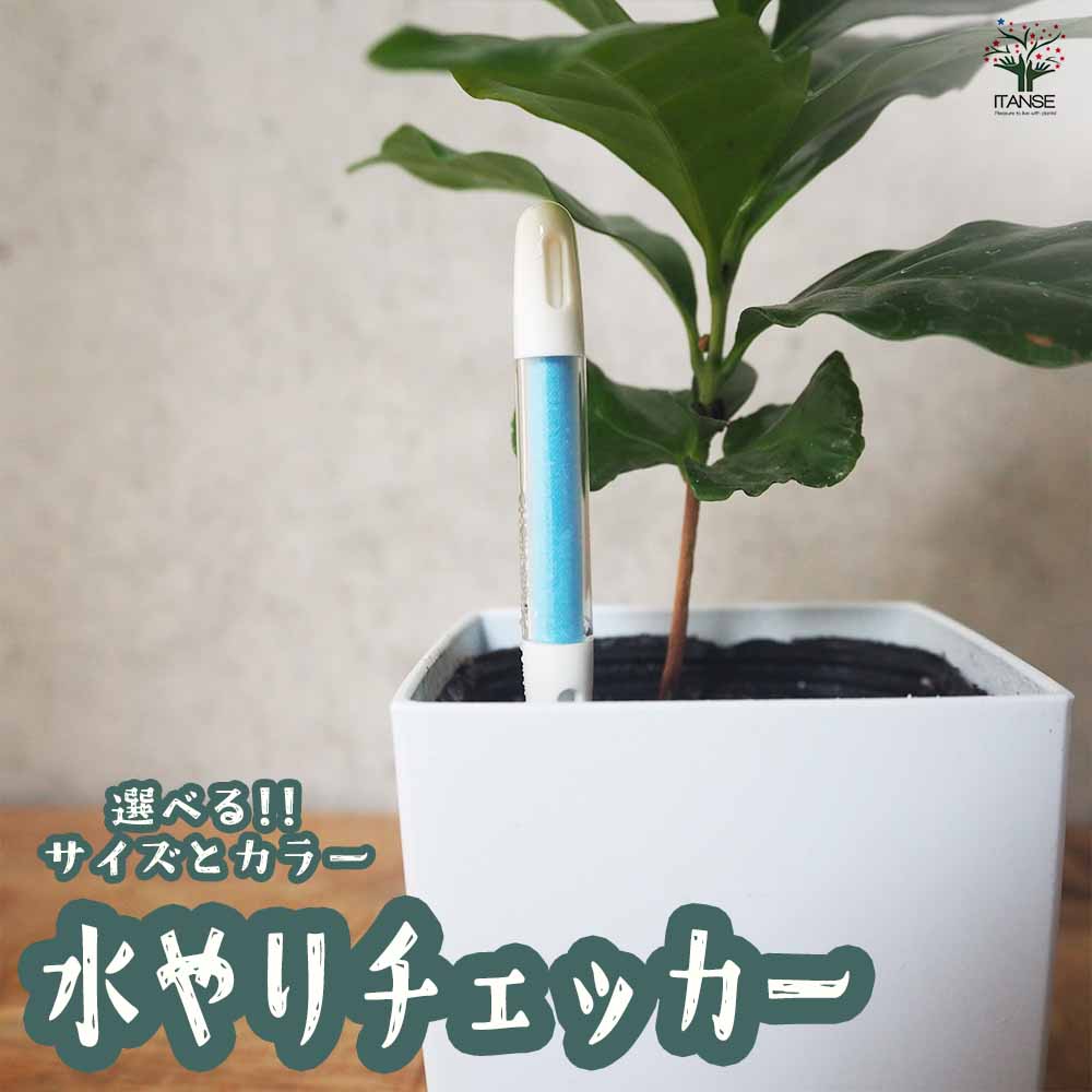 水やりチェッカー【水やりグッズ】