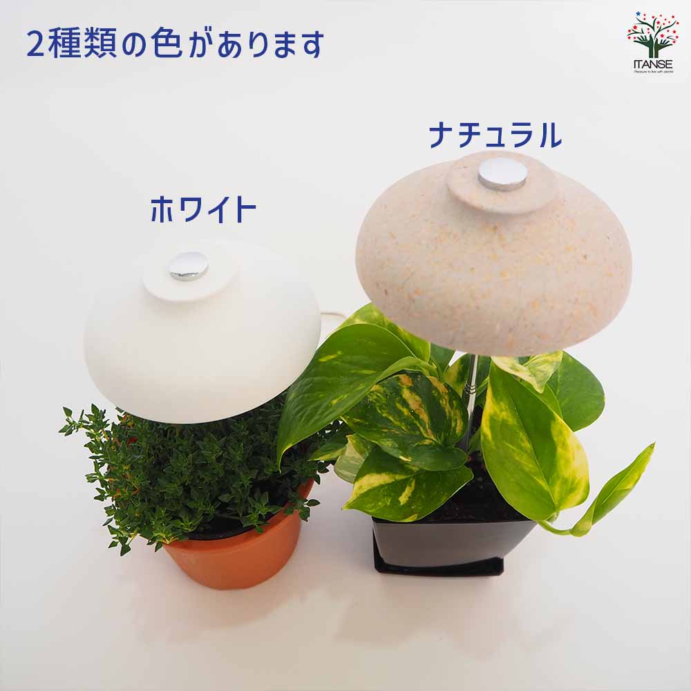 植物育成用ライト 傘型育成ライトスティック 【育成グッズ 】｜ 【植物