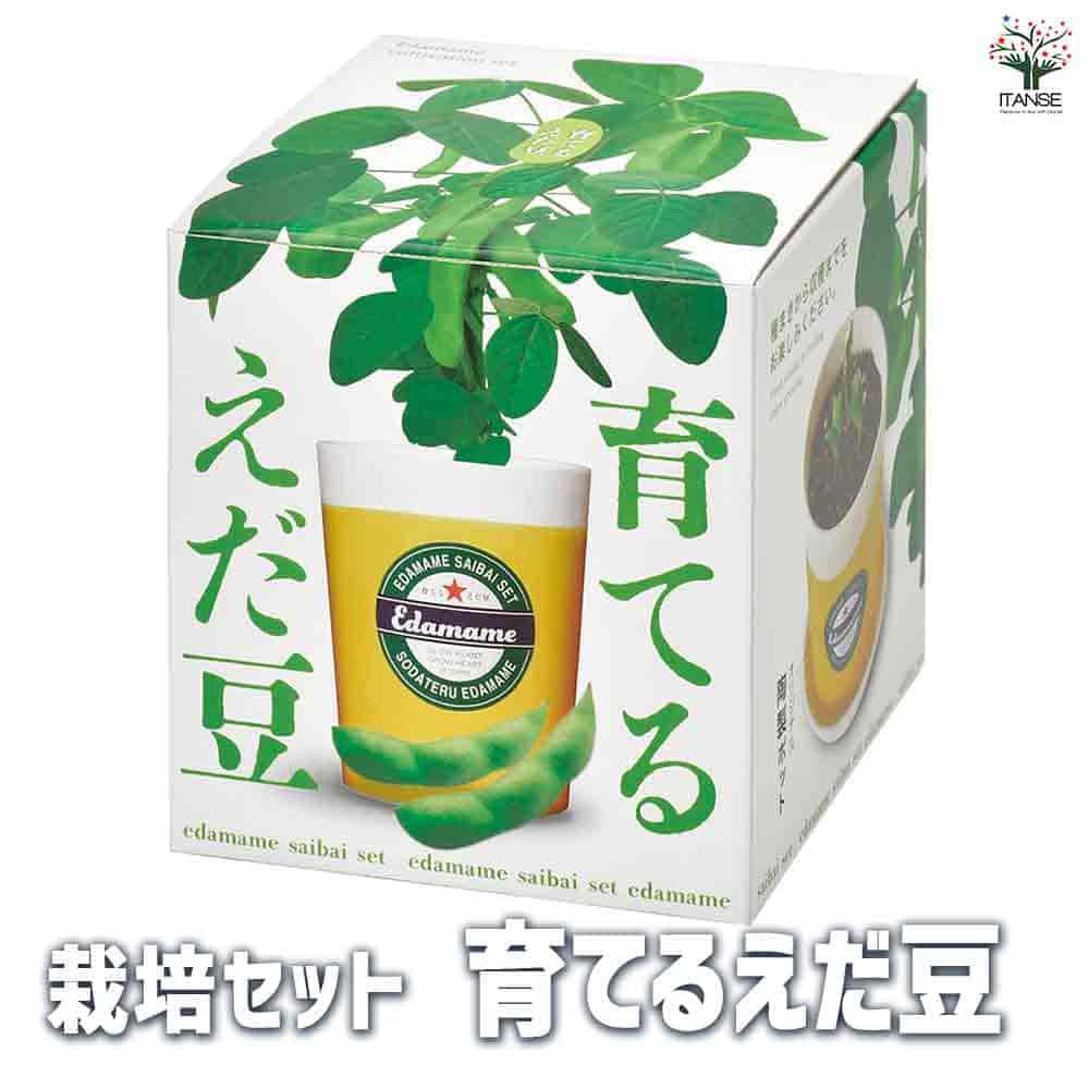 栽培セット 育てるえだ豆 【1個売り】｜ 【植物のITANSE】全品