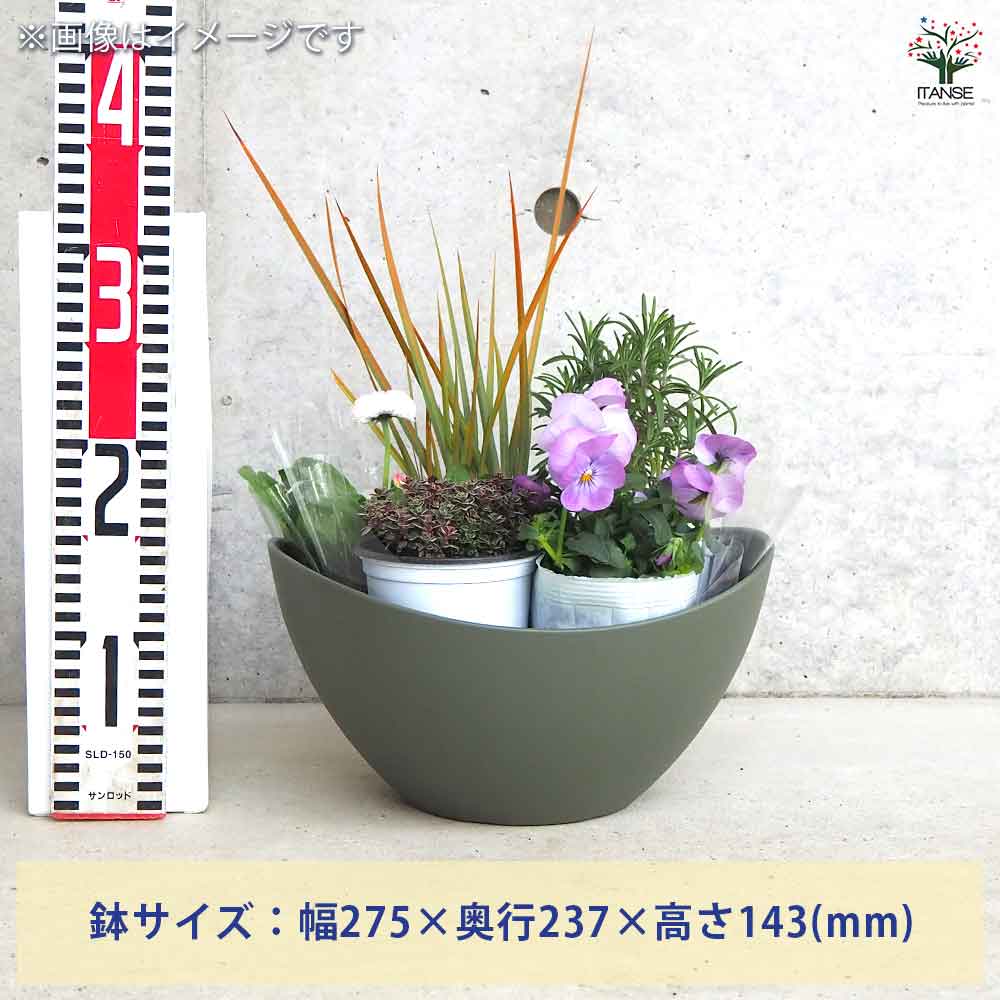 ギャザリン ボウル グリーン 【資材 Sサイズ 季節の花苗＆カラーリーフ寄せ植え風 投げ込みCセット】