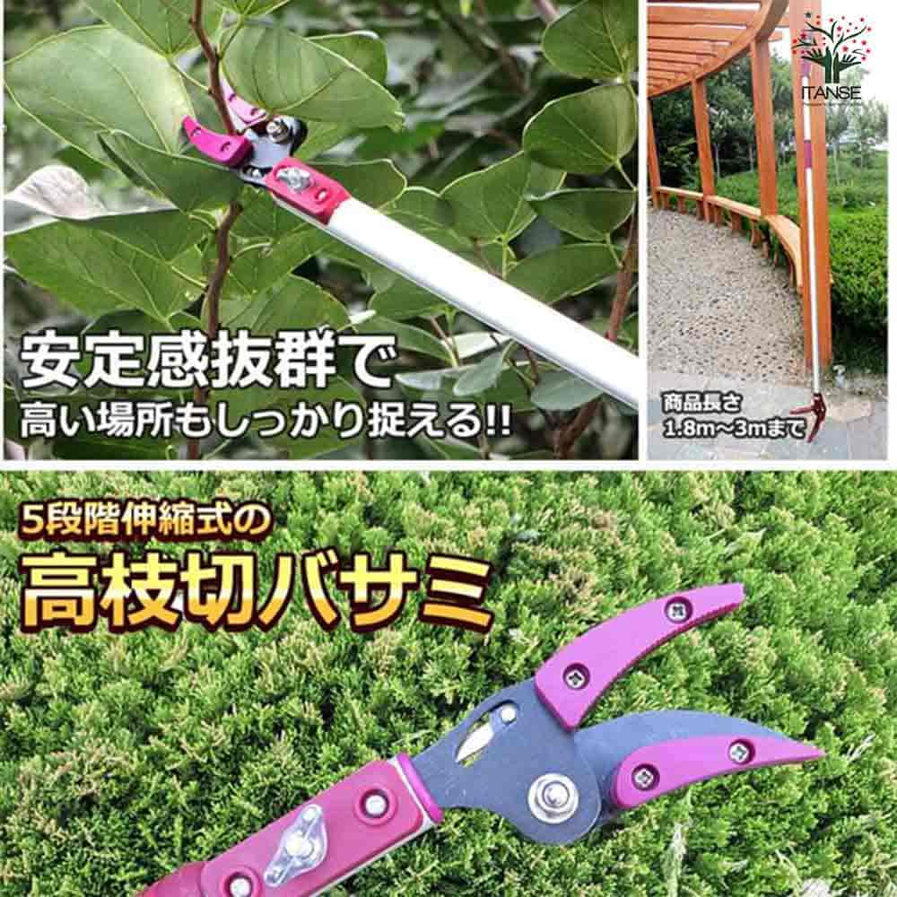 伸縮式 高枝切バサミ  【園芸用はさみ 便利・園芸グッズ／1個売り】
