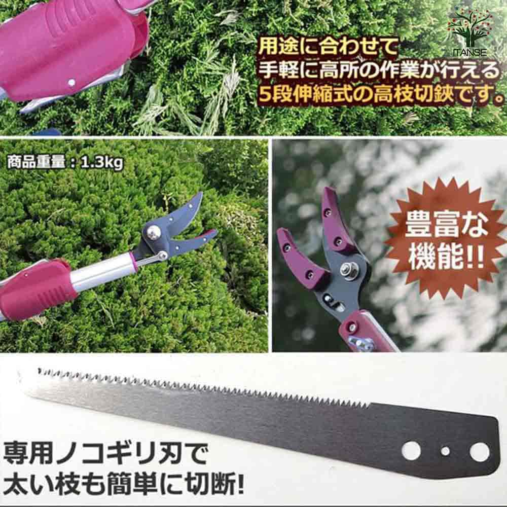 伸縮式 高枝切バサミ  【園芸用はさみ 便利・園芸グッズ／1個売り】