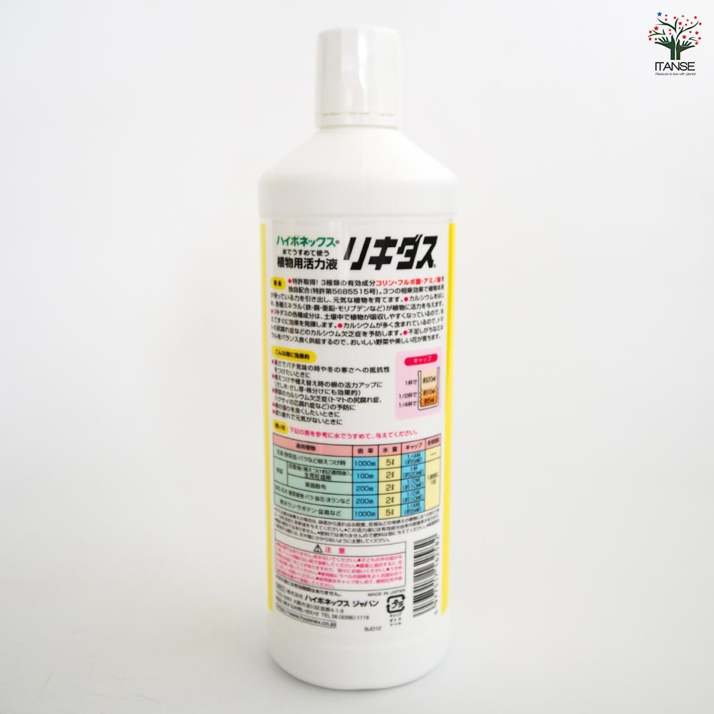 発根済　マルデヌベスverリギダ マルデヌベスverリギダ3