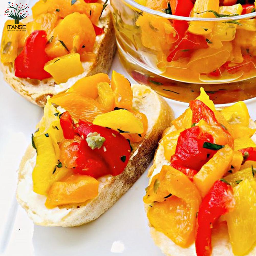 F1パプリカの苗 イエロー 実付きが良い2個～【野菜の苗 10.5cmポット 自根苗】