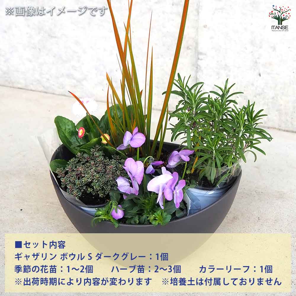 ギャザリン ボウル ダークグレー 【資材 Sサイズ 季節の花苗＆カラーリーフ寄せ植え風 投げ込みCセット】