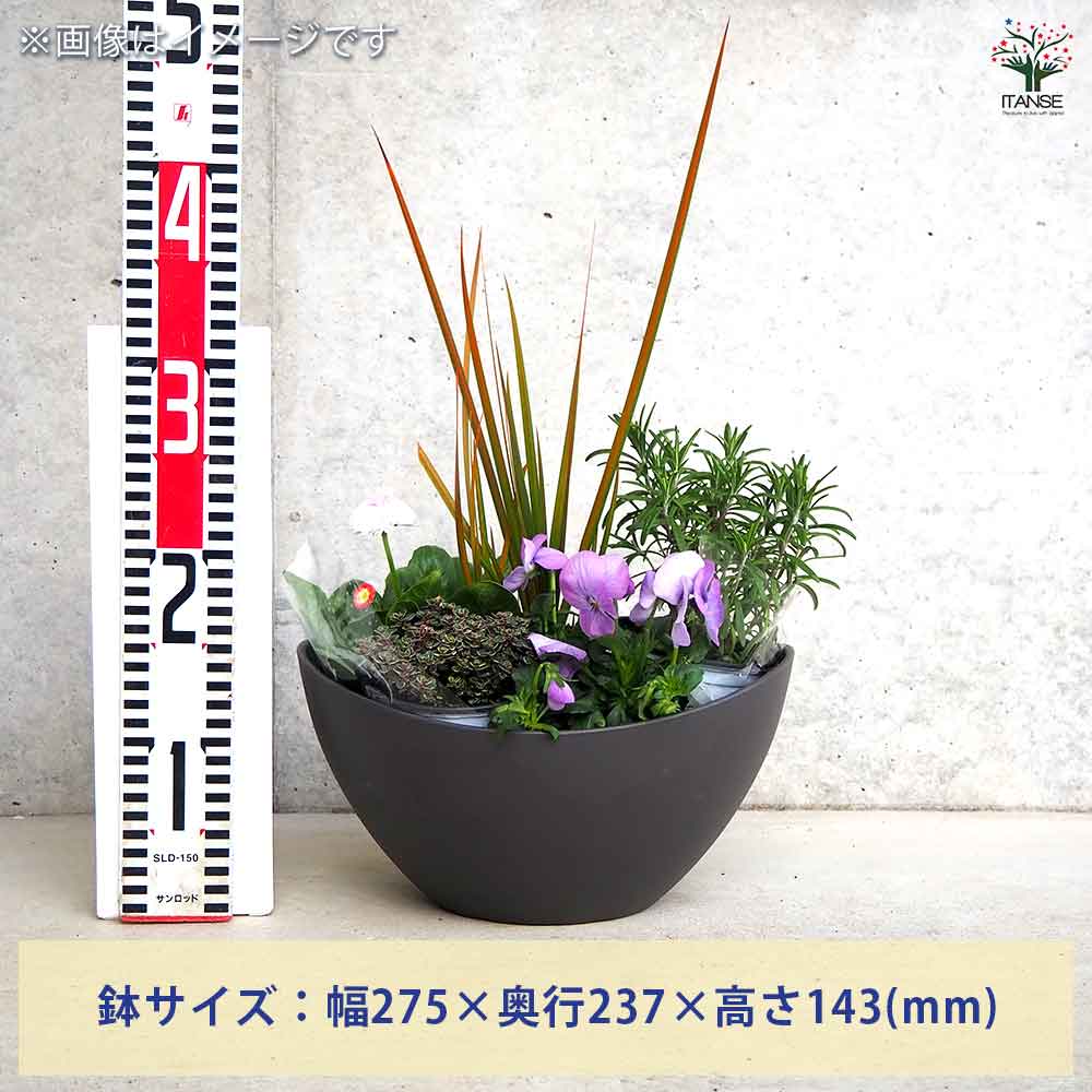 ギャザリン ボウル ダークグレー 【資材 Sサイズ 季節の花苗＆カラー