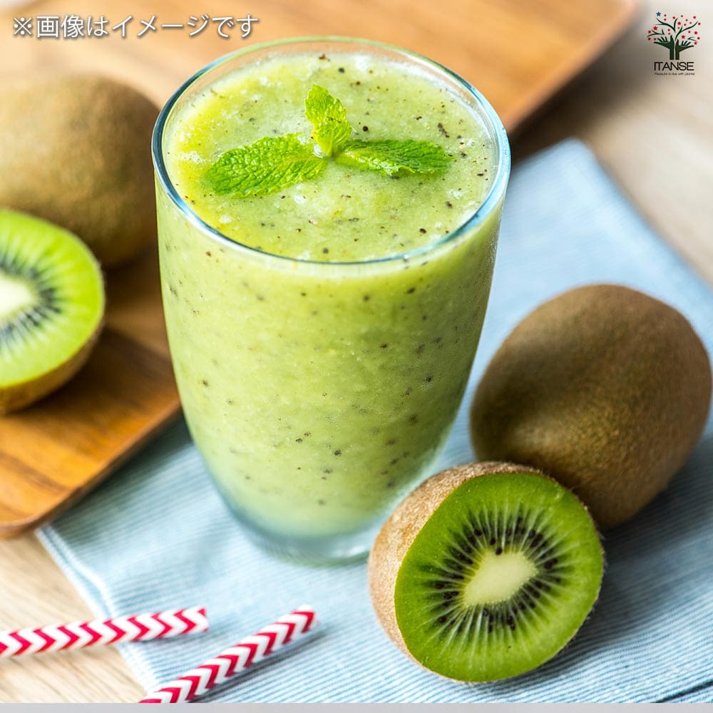 ベビーキウイの苗木 ファントム 【果樹の苗木 4.5号ポット／1個売り】