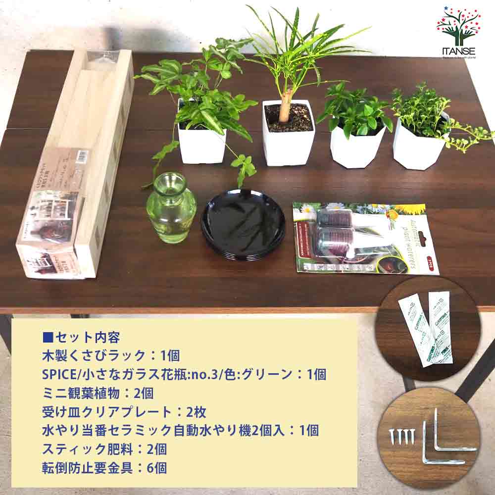 ミニ観葉植物ディスプレイ&生育棚 自動水やり器付き・木製くさびラック