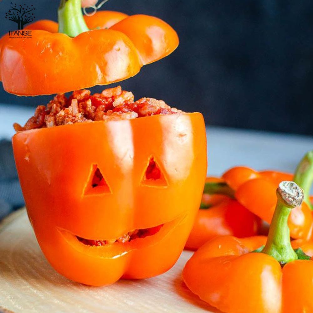 F1パプリカの苗 オレンジ 実付きが良い2個~【野菜の苗 10.5cmポット 自根苗】