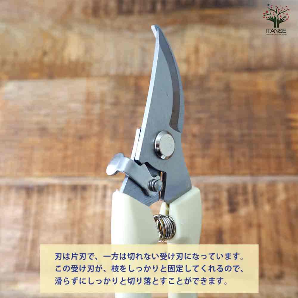 らくらくバネ付 剪定バサミ 【園芸用はさみ 便利・園芸グッズ