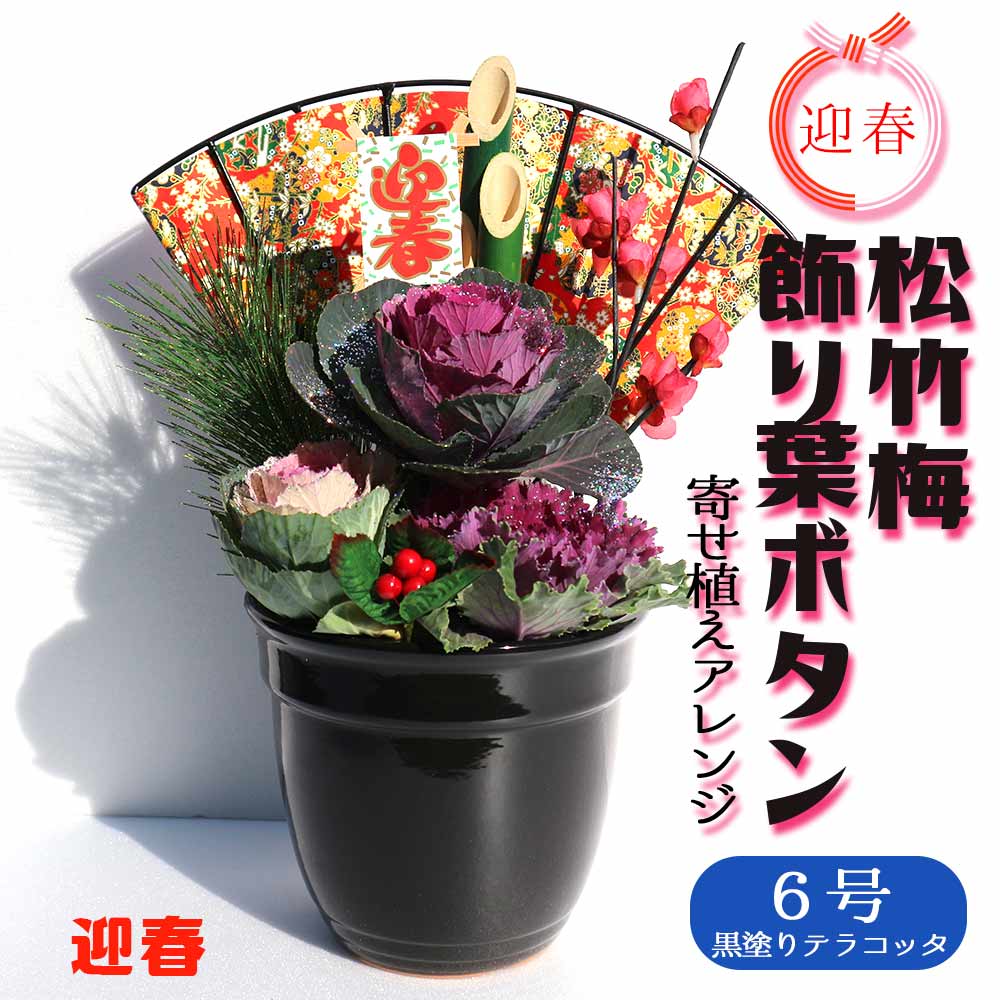 お正月飾り 迎春松竹梅アレンジ【花苗 6号／1個売り】