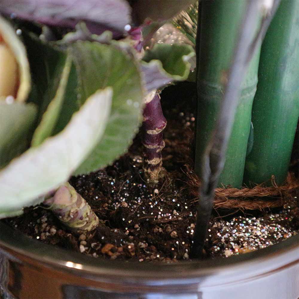 お正月飾り 迎春松竹梅アレンジ【花苗 6号／1個売り】