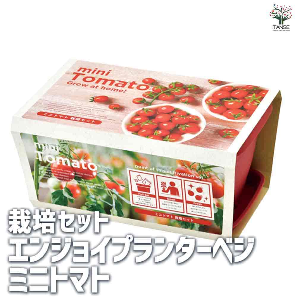 栽培セット エンジョイPベジ ミニトマト 【1個売り】｜ 【植物の
