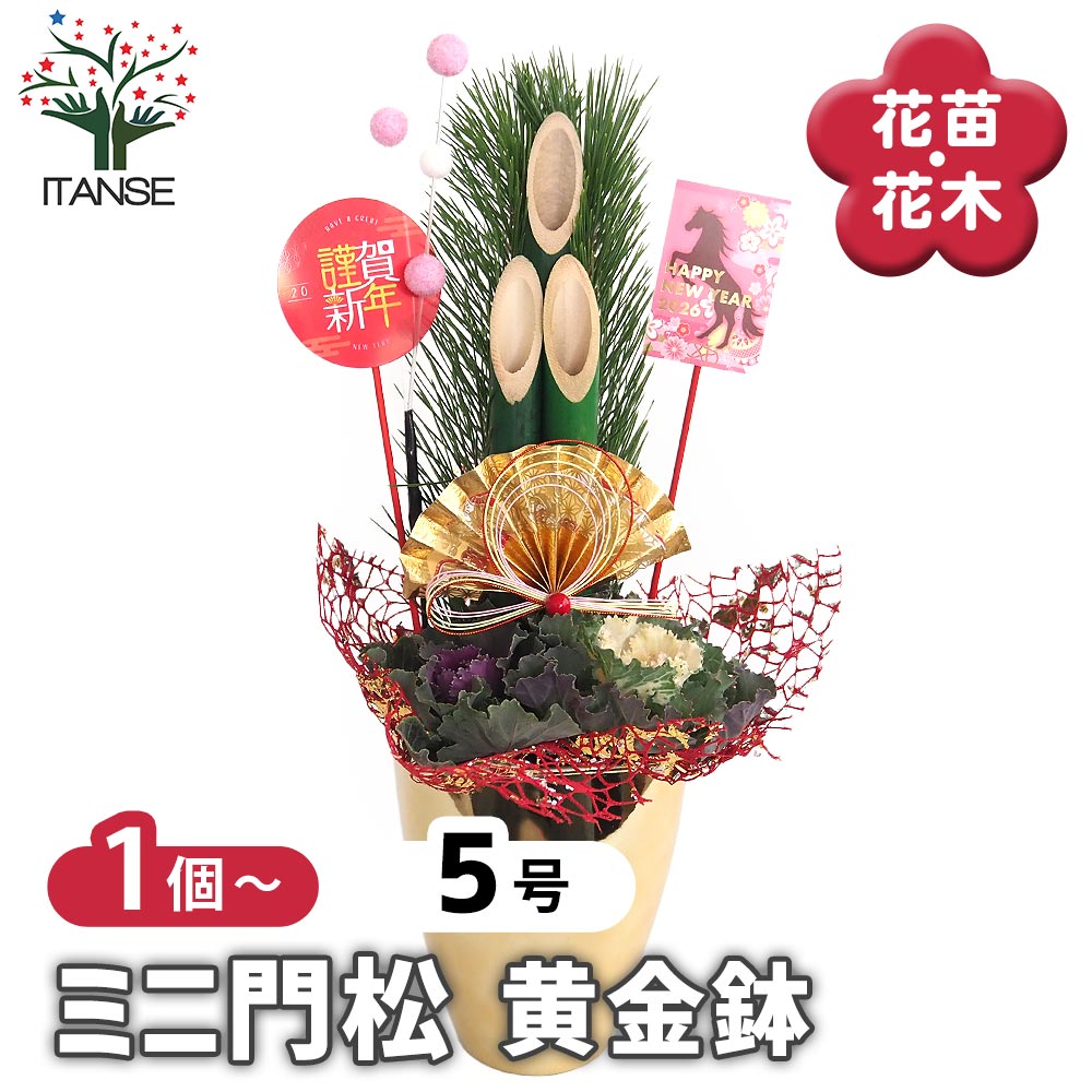 門松(かどまつ) ミニ門松 ゴールド鉢 【正月飾り 5号】｜ 【植物の
