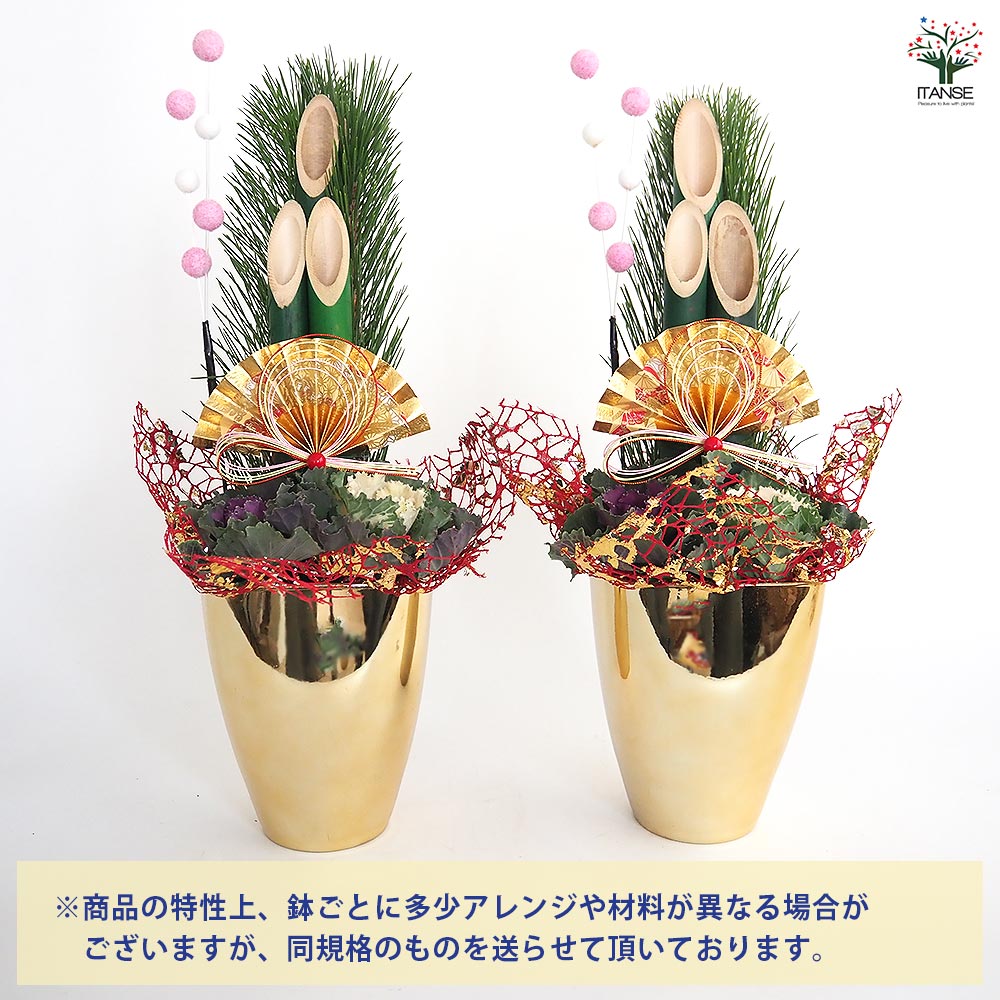 門松(かどまつ) ミニ門松 ゴールド鉢 【正月飾り 5号】｜ 【植物の