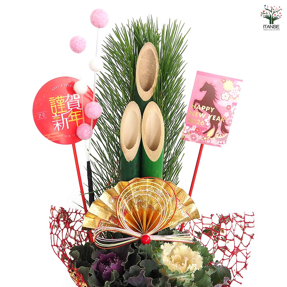 門松(かどまつ) ミニ門松 ゴールド鉢 【正月飾り 5号】｜ 【植物の