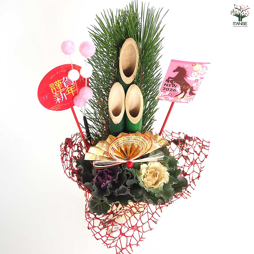 門松(かどまつ) ミニ門松 ゴールド鉢 【正月飾り 5号】｜ 【植物の