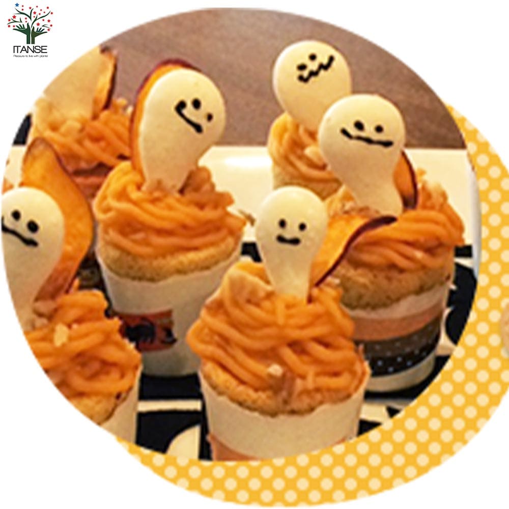 さつまいも切苗 品種：ハロウィンスイート【野菜の苗／切苗(約25本/束)】