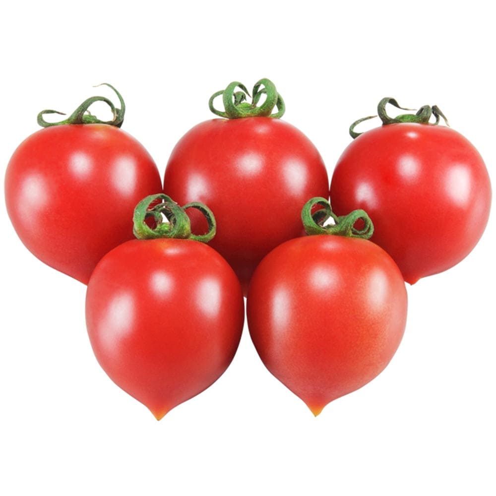 ハート型フルーツ中玉トマト サブレ2個～【野菜 自根苗9cmポット】