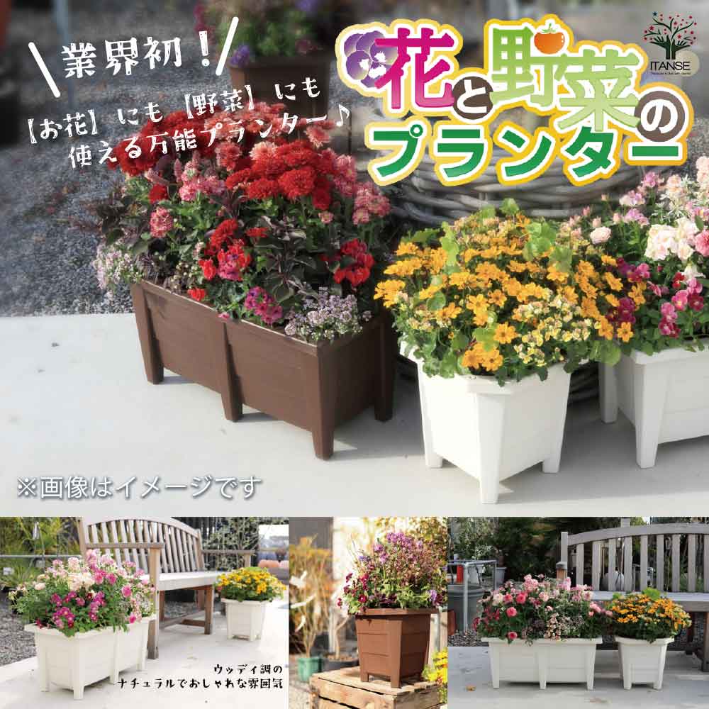 花と野菜のプランター 【プラ鉢 600型】