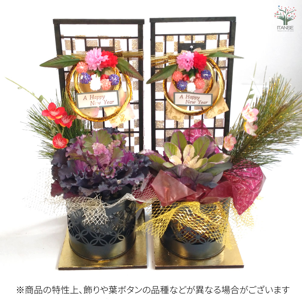 お正月飾り 迎春しめ飾りアレンジ【花苗 3号／1個売り】