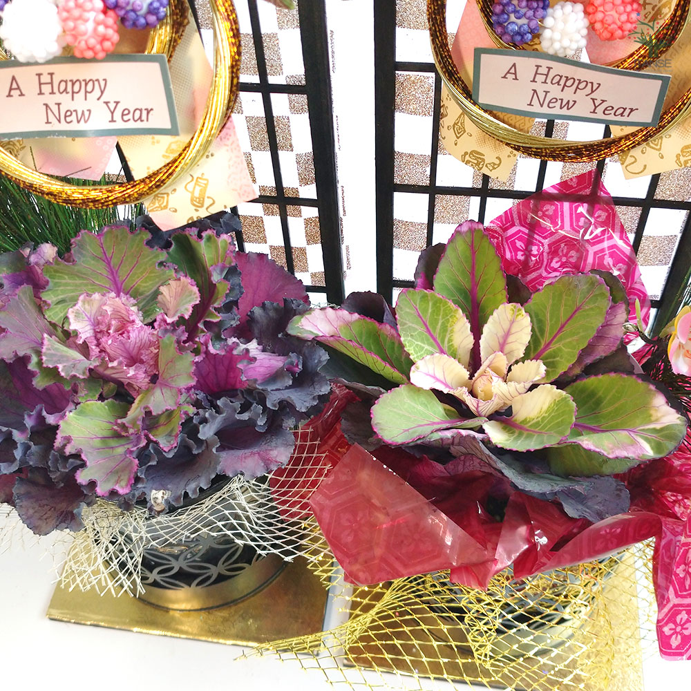 お正月飾り 迎春しめ飾りアレンジ【花苗 3号／1個売り】