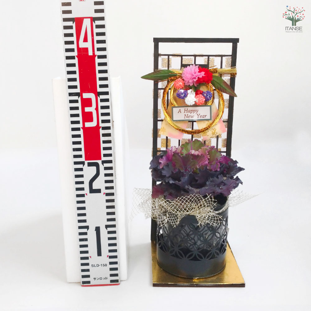 お正月飾り 迎春しめ飾りアレンジ【花苗 3号／1個売り】