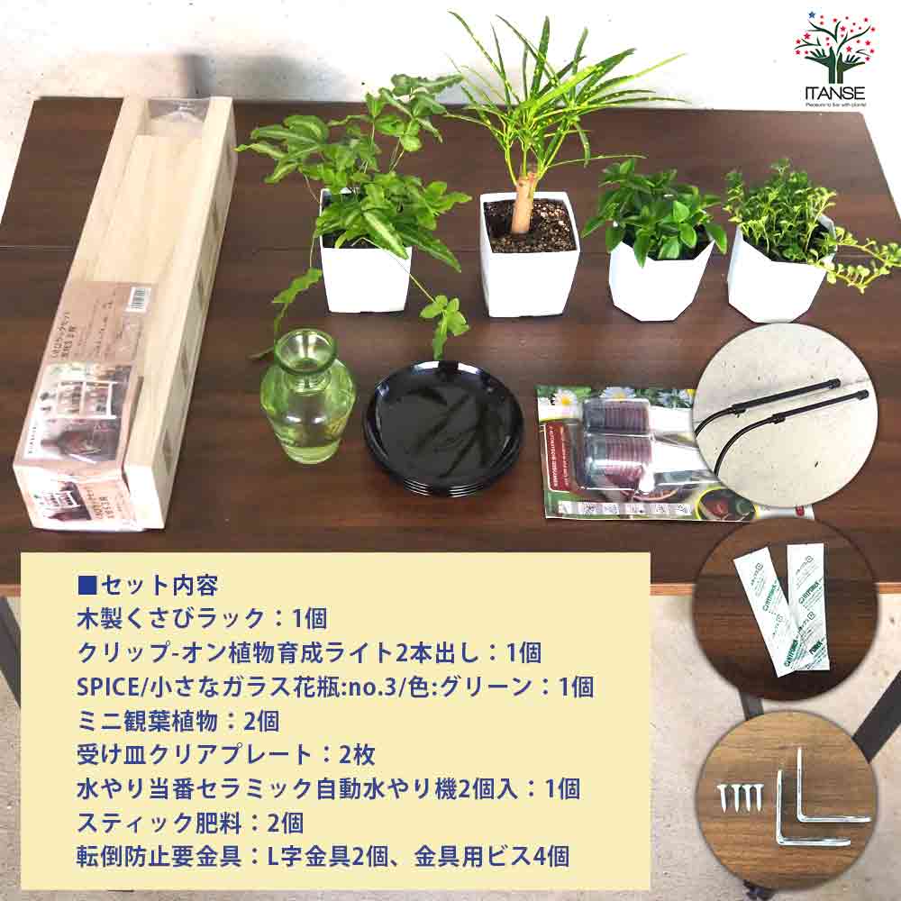 ミニ観葉植物ディスプレイ&生育棚 自動水やり器付き・木製くさびラック