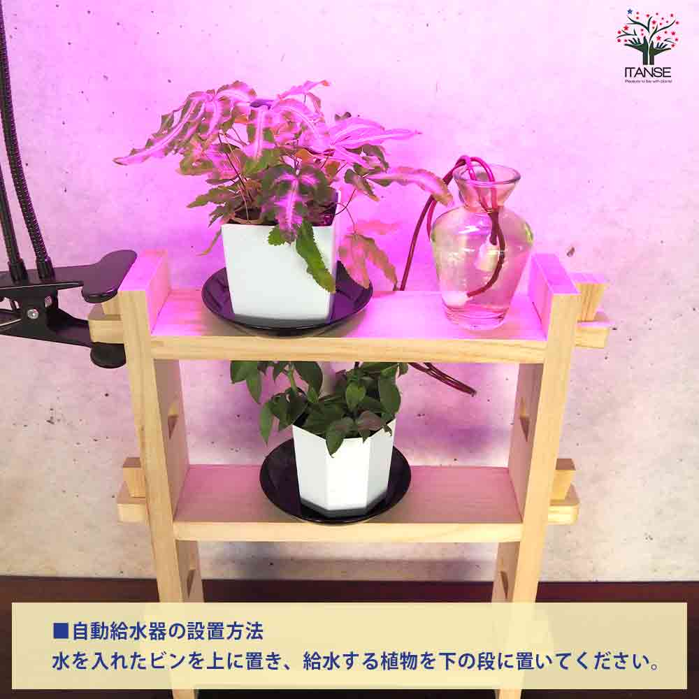 ミニ観葉植物ディスプレイ&生育棚 自動水やり器付き・木製くさびラック