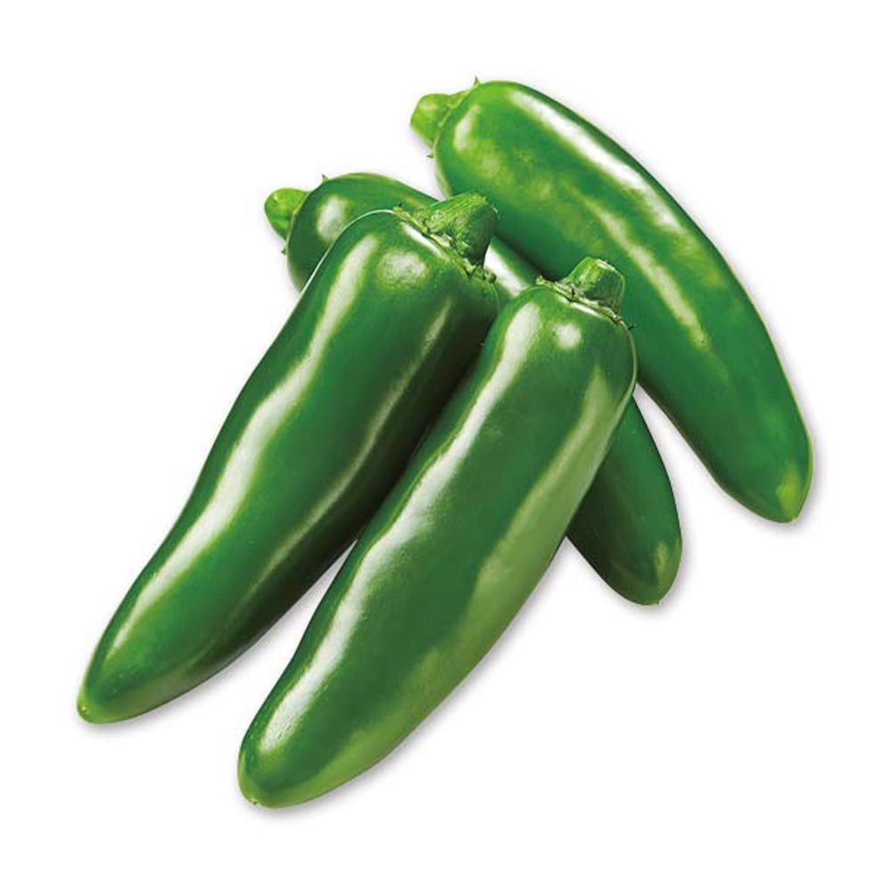 こどもピーマン(ピー太郎) 接木苗2個~【野菜 接木苗9cmポット】