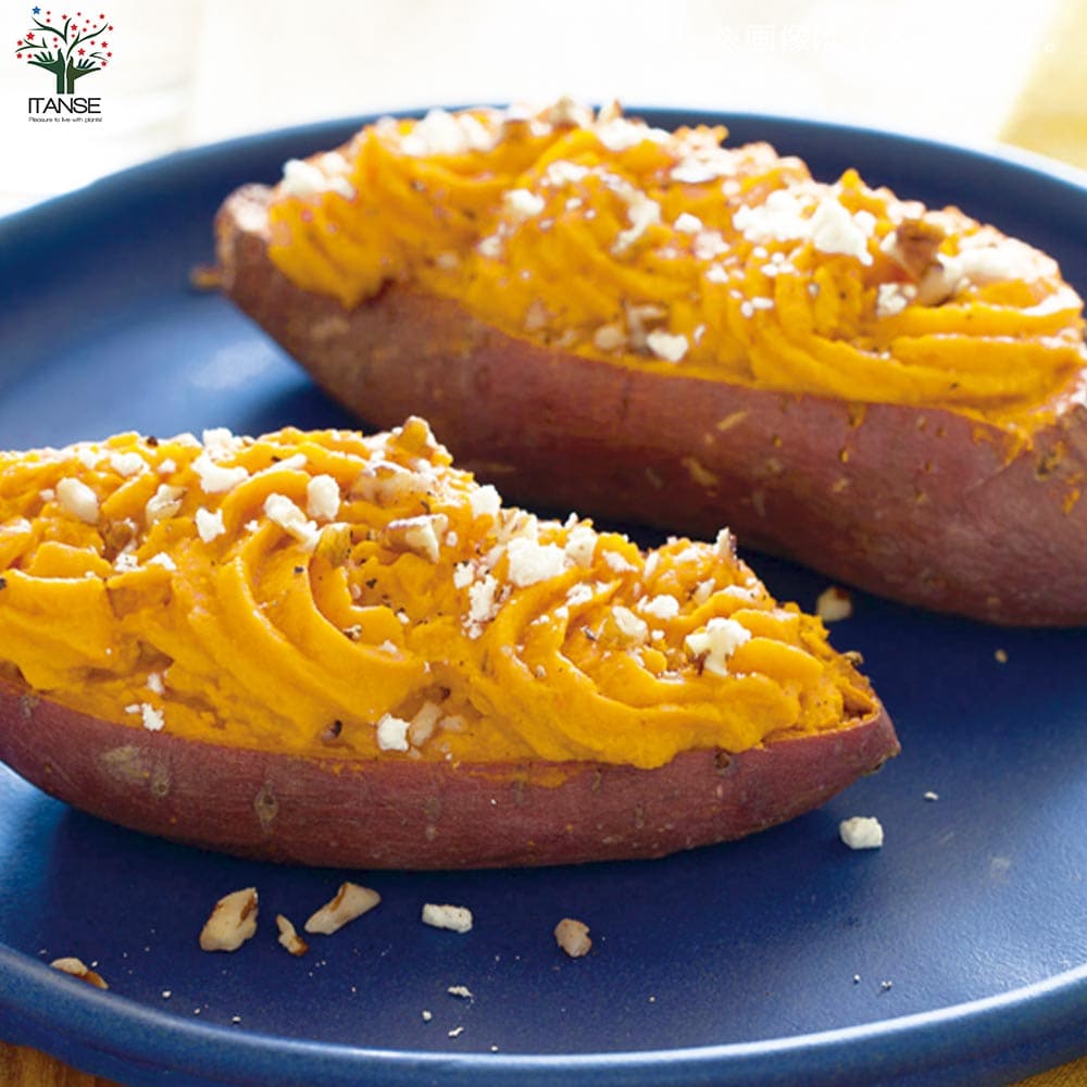 さつまいも切苗 品種：シルクスイート【野菜の苗／切苗(約25本/束)】